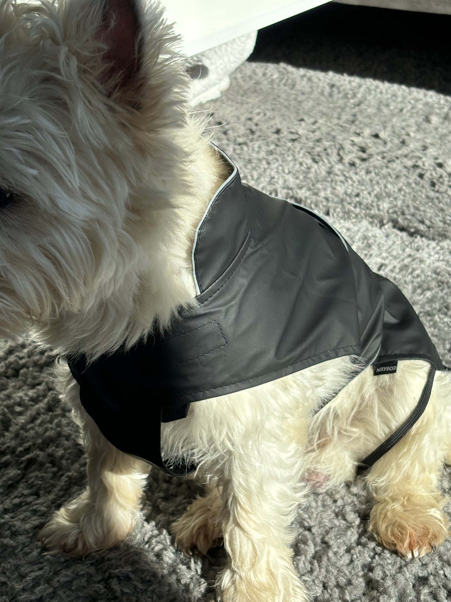 Manteau imperméable
