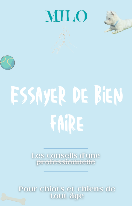 E-book - Essayer de bien faire