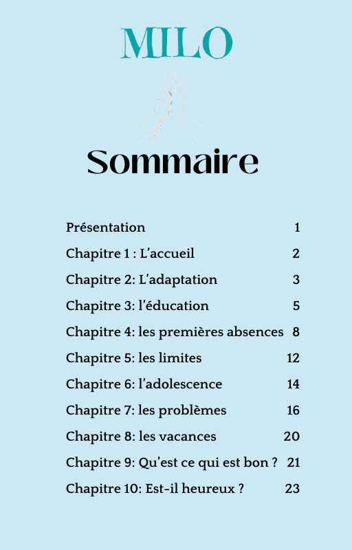 E-book - Essayer de bien faire