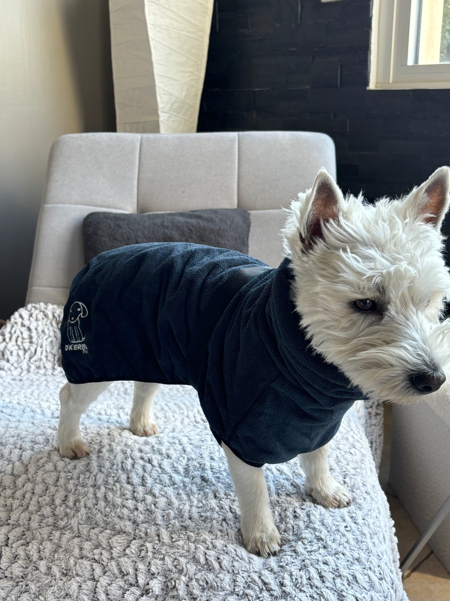Peignoir pour chien