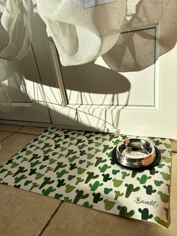 Tapis de gamelle cactus